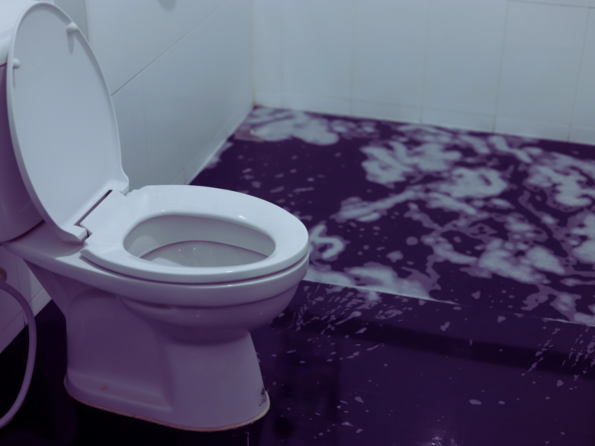 wet bathroom floor due to toilet leaking at it's base